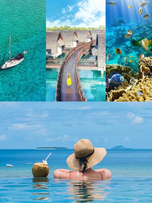 旅游业恢复后你会去国外旅游吗「斐济飞国内旅游攻略图片」 健康知识 旅游业恢复后你会去国外旅游吗「斐济飞国内旅游攻略图片」 旅游业恢复后你会去国外旅游吗「斐济飞国内旅游攻略图片」 健康知识