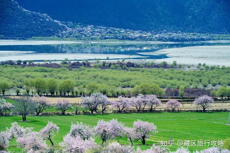 请问四月初,情侣适合去哪旅游,能否提供可靠攻略「四月初国内旅游攻略图片」 美食食谱 请问四月初,情侣适合去哪旅游,能否提供可靠攻略「四月初国内旅游攻略图片」 请问四月初,情侣适合去哪旅游,能否提供可靠攻略「四月初国内旅游攻略图片」 美食食谱