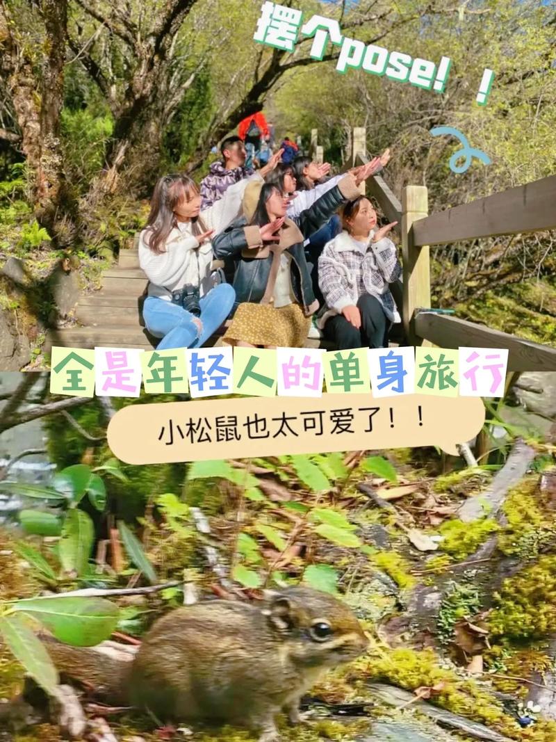 单身女孩一个人想利用1年的时间徒步环游全中国，请问需要准备和注意什么「8天国内旅游去哪里」 单身女孩一个人想利用1年的时间徒步环游全中国，请问需要准备和注意什么「8天国内旅游去哪里」 旅游指南